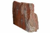 Colorful, Petrified Wood (Araucarioxylon) Stand-up - Arizona #210861-2
